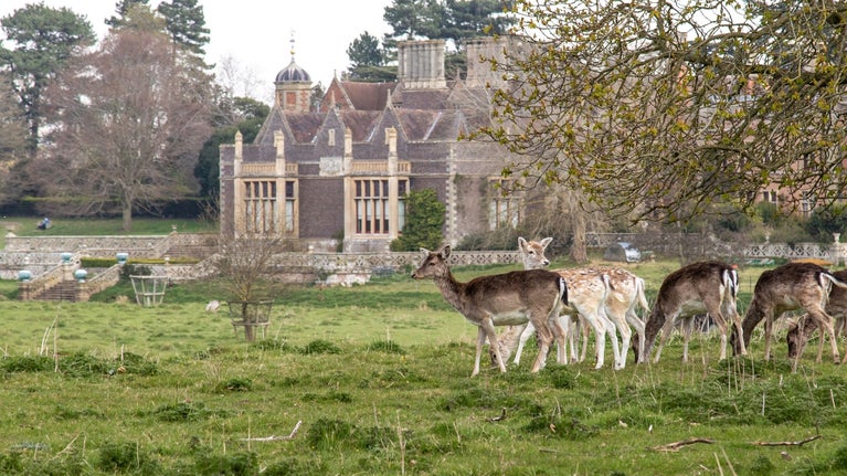 Charlecote Park and House in Winter with Deer and Does